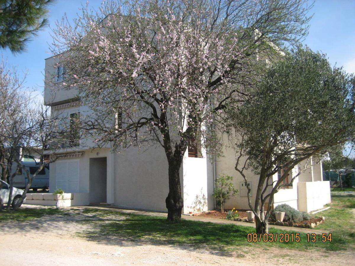 Crancina Apartment Sveti Filip i Jakov Ngoại thất bức ảnh